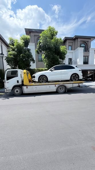 842282150 1656729973132180 1245838740164766727 n